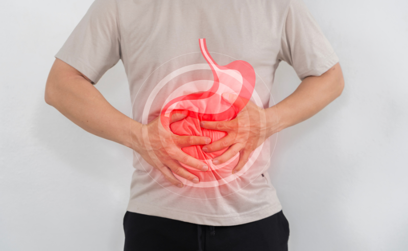 益生元是什麼?跟益生菌差在哪?3分鐘搞懂腸道保養