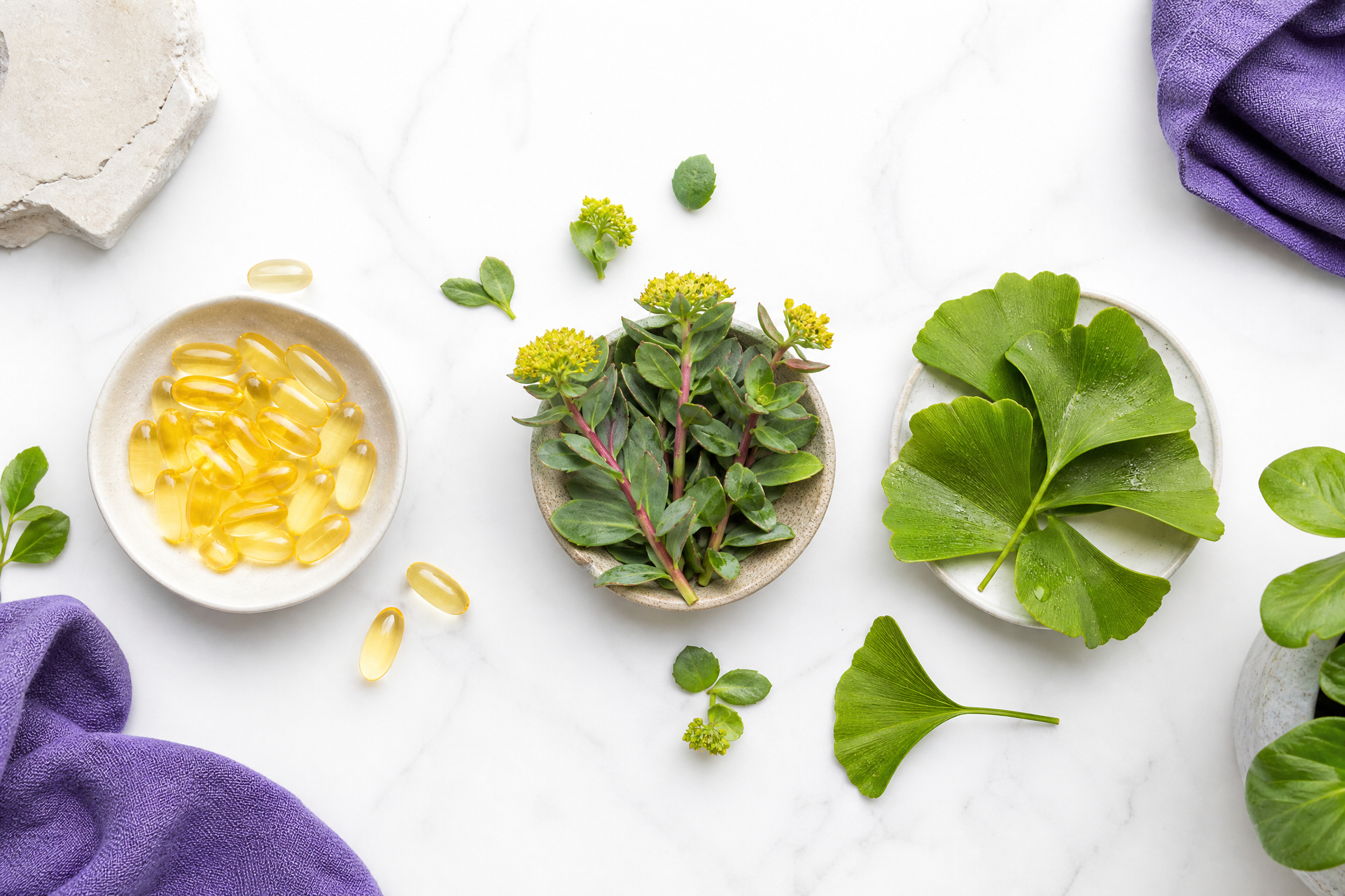 循環保養成分大對比：Omega-3、紅景天、銀杏該選誰？